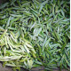 Emei Mao Feng Green Tea