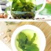 Wild Jiaogulan Herbal Tea - Gynostemma Pentaphyllum