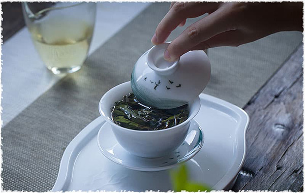 Blog - How to Brew Fuding White Tea
